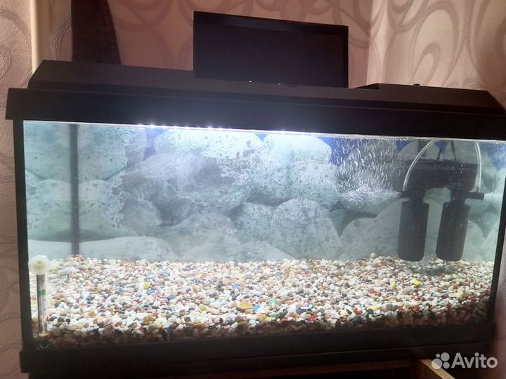 Аквариум на 40 литров