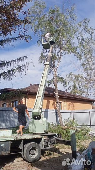 Благоустройство участка. Спил. Вывоз