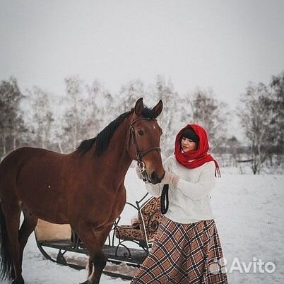 Прокат лошадей
