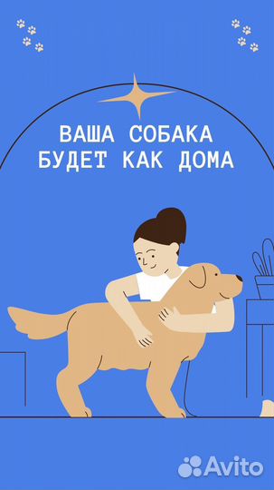 Передержка для собак