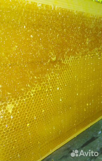 Натуральный мед