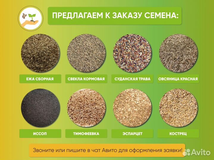 Семена белого клевера