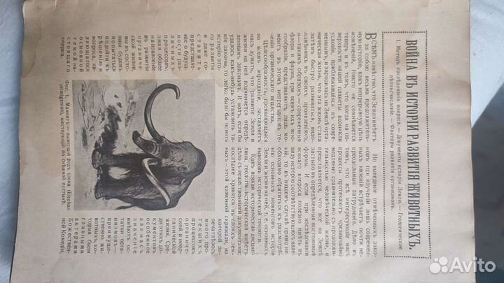 Журнал знание для всех 1916 год