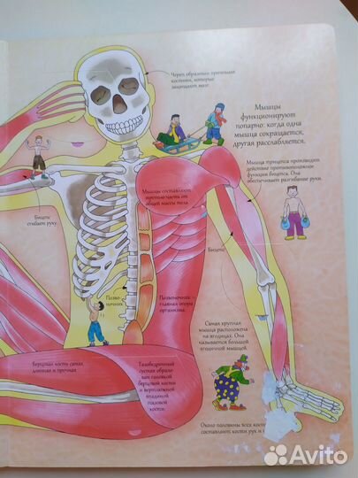 Книга с окошками 
