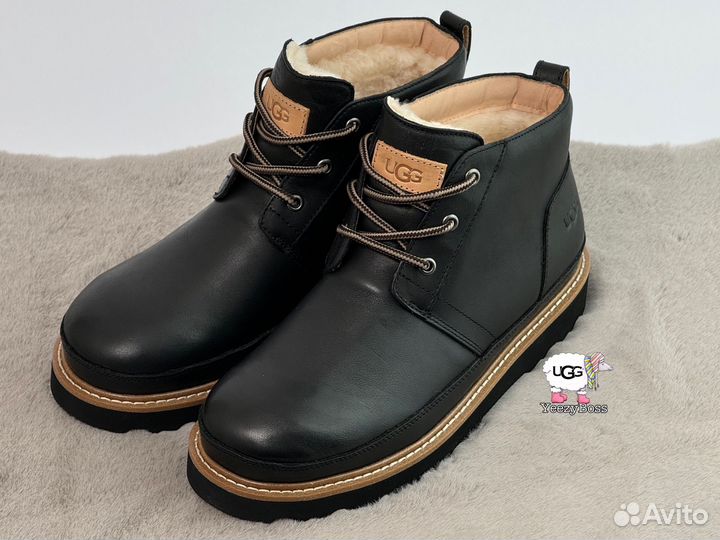 Ботинки мужские зимние Ugg Neumel Black