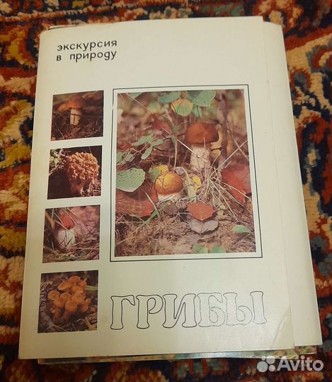 Набор открыток. Грибы, Спорт, Актёры Бдт, СССР