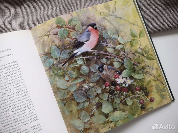 Винтажная книга о природе Англия