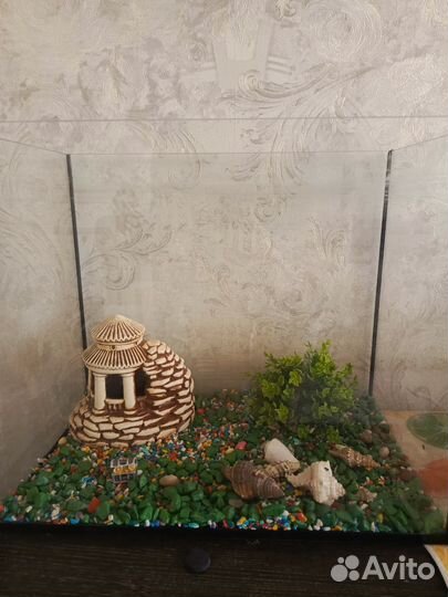 Аквариум