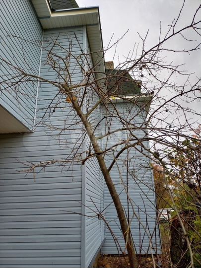 Дача 140 м² на участке 8,2 сот.