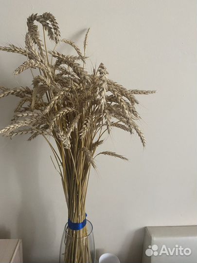 Букет из колосков пшеницы