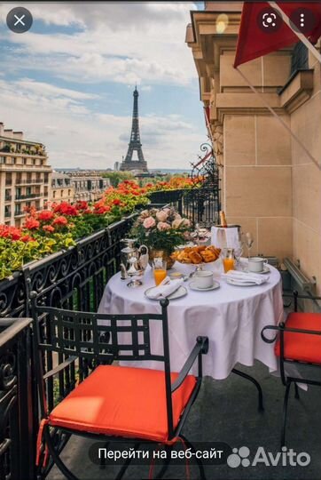 Герань пеларгония как в Париже