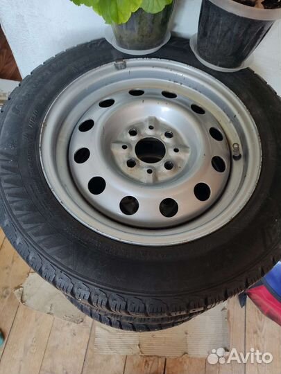 Viatti Strada Asimmetrico 175/65 R14