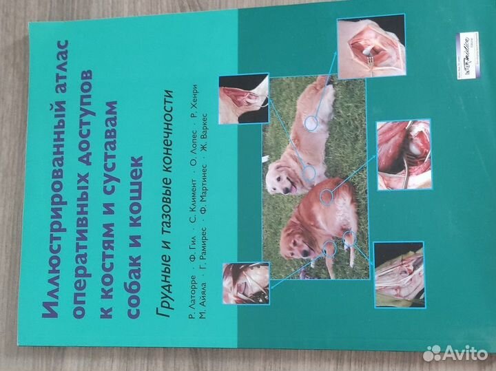 Атлас по хирургии