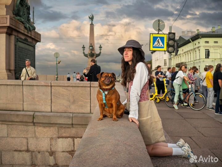 Собака для фотосессии