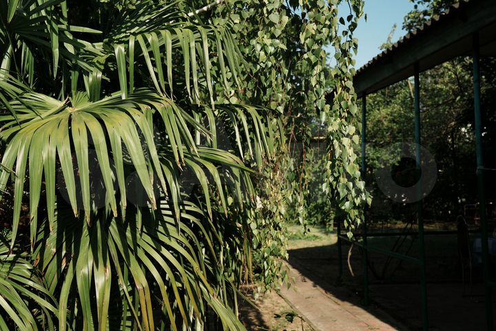 Дача 60 м² на участке 15 сот.