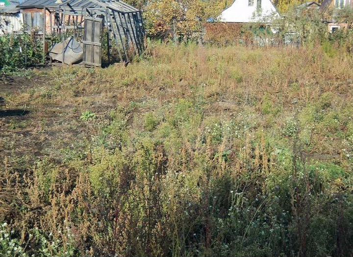 Участок 8 сот. (СНТ, ДНП)
