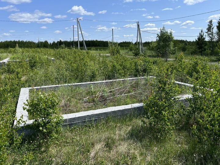 Участок 2,5 га (ИЖС)