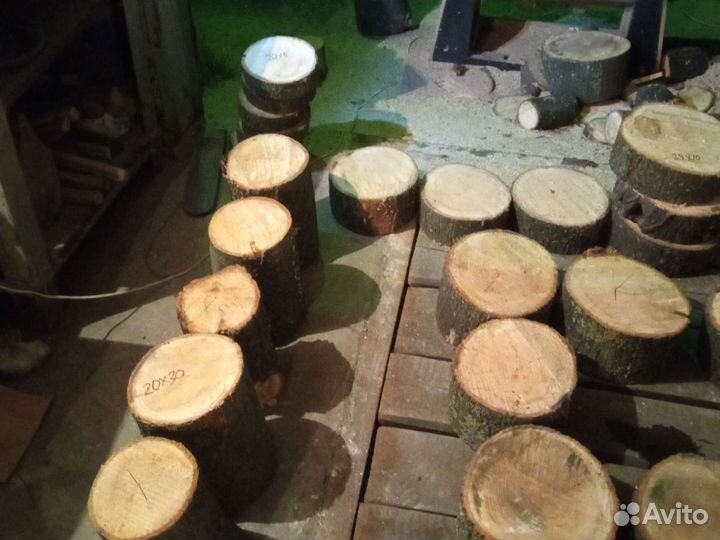 Слэб дерева и спилы липа берёза карагач тополь