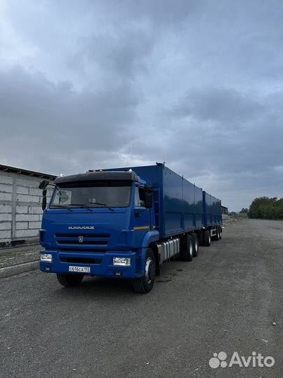 КамАЗ 65117-62, 2018