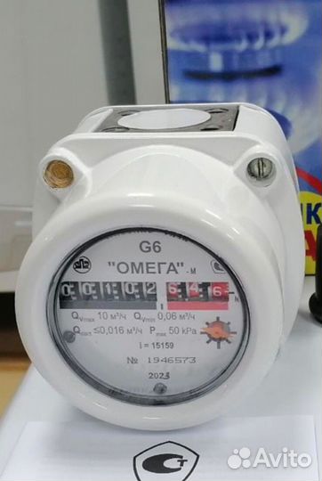 Газовый счетчик g6