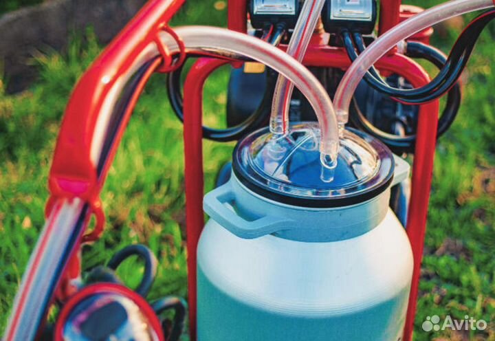 Доильный аппарат