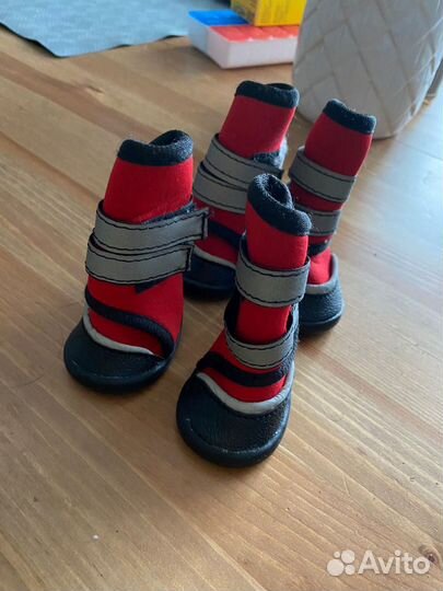 Сапоги для собаки