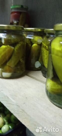 Соленья засолки консервация на зиму