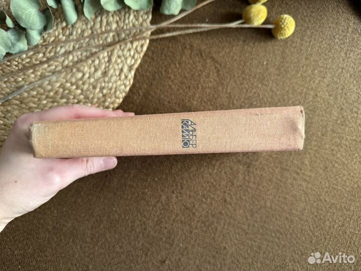 Альбер Камю.Избранное.Чума/Посторонний