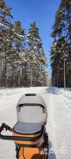 Детская коляска Anex Sport 3в1