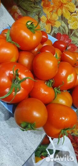 Помидоры