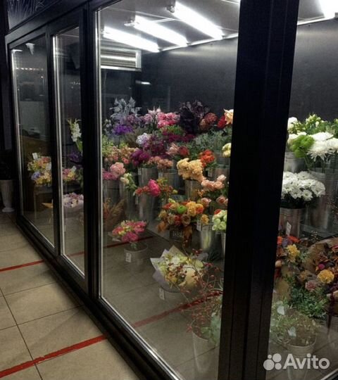 Розы букет 25 51 101 роза цветы с доставкой