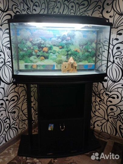 Аквариум