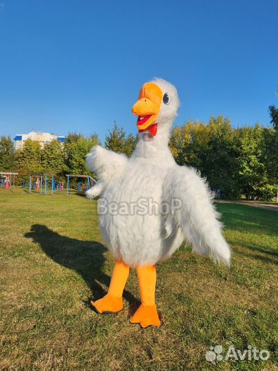 Костюм для поздравлений