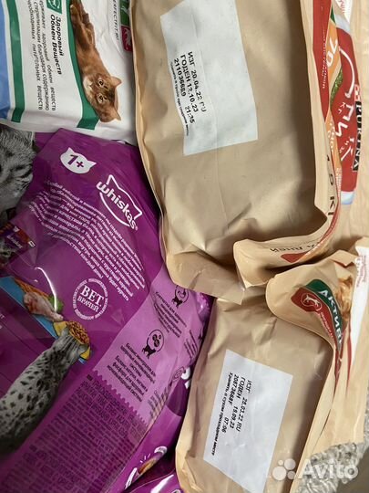 Корма сухие для кошек и собак