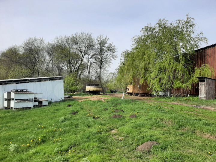 Свободного назначения, 592.3 м²