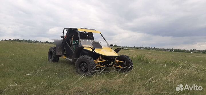 Багги беркут