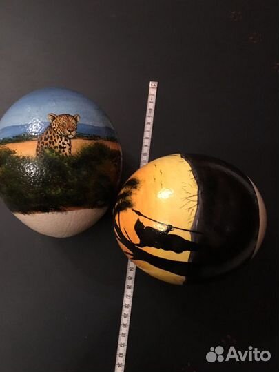 Яйца африканские