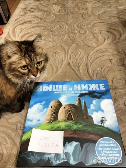 Настольные игры