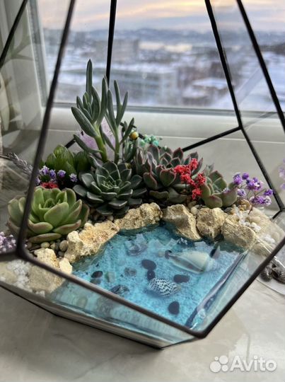 Флорариум с суккулентами