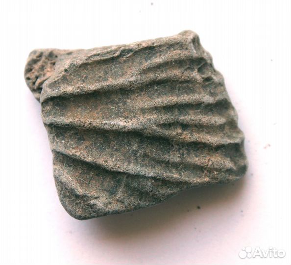 Отпечаток аммонита