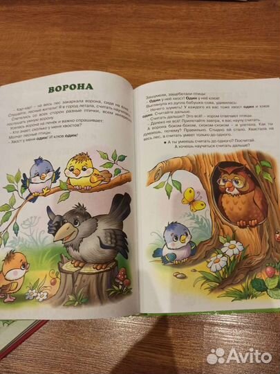 Книга Мечта о том самом зайке