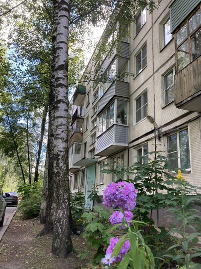 1-к. квартира, 33 м², 5/5 эт.