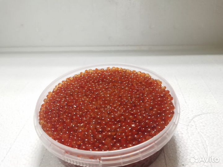 Икра красная кижуча