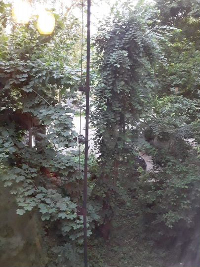 Комната 14 м² в 2-к., 3/5 эт.