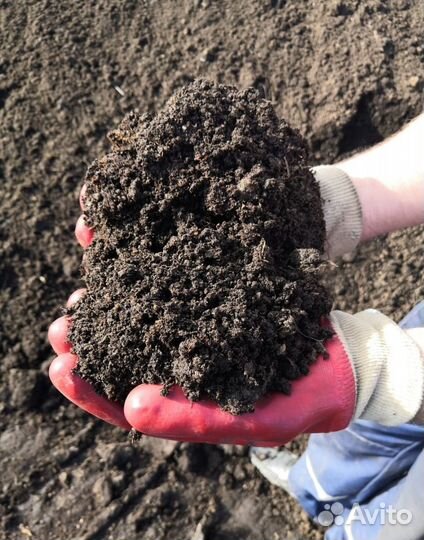 Земля плодородная