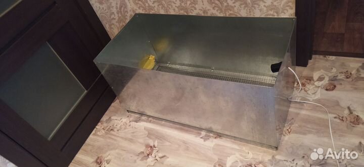 Брудер для цыплят