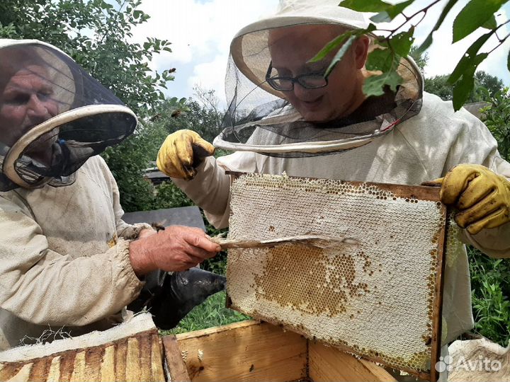 Мёд и пчелопродукты