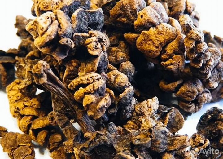 Петров крест(царь трава)