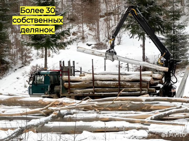 Обрезная доска хвоя