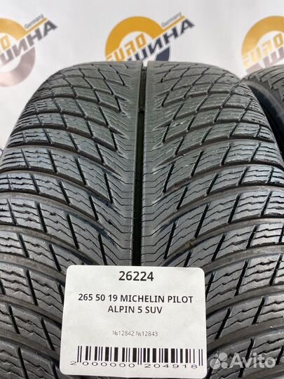 Michelin Pilot Alpin 5 SUV 265/50 R19 113T